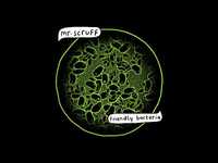 pochette album Thought to the meaning