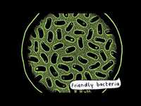 pochette album We are coming