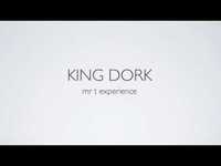 pochette album King dork