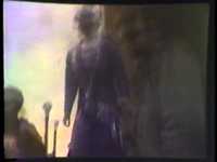 pochette album Surfin' cows