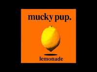 pochette album Mountain song