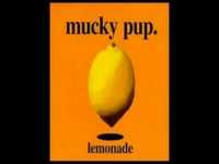 pochette album The t.v.'s on fire