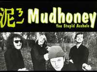 pochette album You stupid asshole