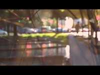 pochette album Blessed brambles