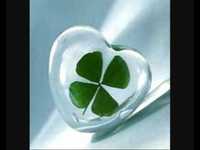 pochette album Zum allerersten mal