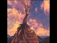 pochette album Boy decide