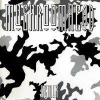 pochette album Everyone's got one