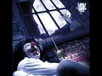 pochette album Folle folla