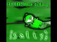 pochette album Queen's english