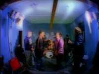 pochette album Money tree