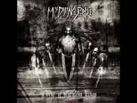 pochette album The blood the wine the roses