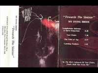 pochette album The grief of age