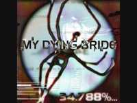 pochette album The stance of evander sinoue