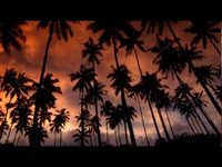 pochette album Inch'allah