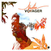 pochette album Voyager