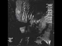 pochette album Nacht der rache