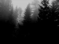 pochette album Transilvanischer hunger