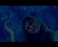 pochette album Following dolphins