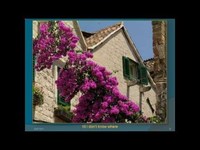 pochette album A place in my hear