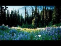 pochette album Ce sera moi