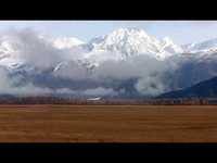 pochette album Lonely shepherd