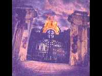 pochette album Admit this