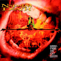 pochette album Next of kin to chaos