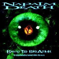 pochette album Stranger now