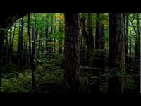 pochette album Abschiedsbrief des prometheus