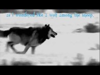 pochette album Amarok - zorn des lammes iii