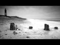 pochette album Amarok - zorn des lammes part ii