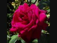 pochette album A beautiful friendship