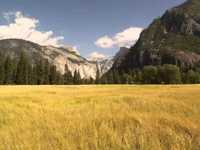 pochette album No, i don't want her