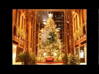 pochette album O tannenbaum