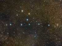 pochette album The happiest christmas tree