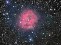 pochette album Yes sir, that's my baby