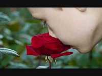 pochette album Roses