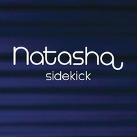 pochette album Sidekick