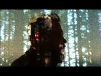 pochette album Still trying