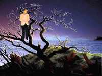 pochette album Sweetheart tree