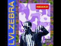 pochette album Lvlerica garden