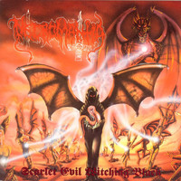 pochette album Devilskin