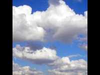 pochette album That one song