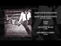 pochette album Solomon's ashes