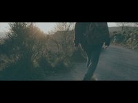 pochette album Feel love down