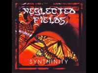 pochette album Synthinity