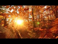 pochette album Ooo do i wanna be yours