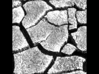 pochette album The first noel