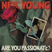 pochette album Are you passionate?