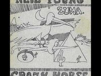 pochette album Danger bird